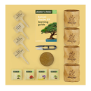 Bonsai Starter Kit | Gardening Gift for Women & Men | Bonsai Tree Growing Garden Crafts Hobby Kits