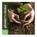 Bonsai Starter Kit | Gardening Gift for Women & Men | Bonsai Tree Growing Garden Crafts Hobby Kits