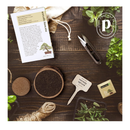 Bonsai Starter Kit | Gardening Gift for Women & Men | Bonsai Tree Growing Garden Crafts Hobby Kits