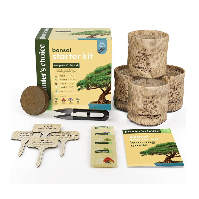 Bonsai Starter Kit - DIY Bonsai Growing Gift - Garden Hobbies for Adults, Women & Men : 4 Unique Tree Seeds, Soil, Pots, Pruning Shears, Plant