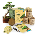 Bonsai Starter Kit | Gardening Gift for Women & Men | Bonsai Tree Growing Garden Crafts Hobby Kits
