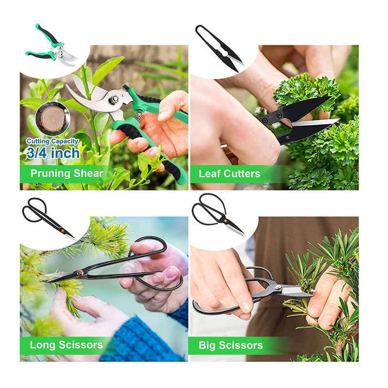 Bonsai Tools Kit | Kit Tools for Beginners 24 Pieces