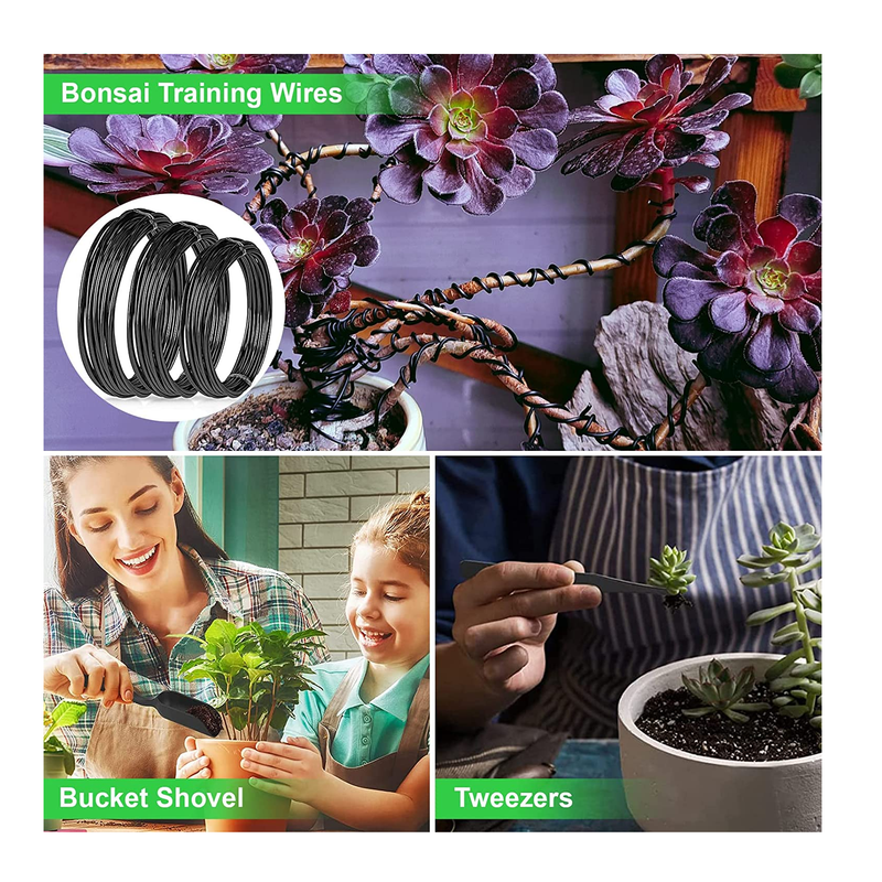 Bonsai Tools Kit | Kit Tools for Beginners 24 Pieces