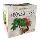 Bonsai Tree Indoor Starter Kit 4 Bonsai Tree Seed Types | DIY Unique Gardening Plant Crafts