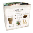 Bonsai Tree Indoor Starter Kit 4 Bonsai Tree Seed Types | DIY Unique Gardening Plant Crafts