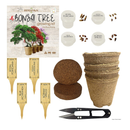 Bonsai Tree Indoor Starter Kit 4 Bonsai Tree Seed Types | DIY Unique Gardening Plant Crafts