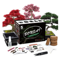 Bonsai Tree Kit | 5 Bonsai Tree Seeds with Complete Plant Growing Tools