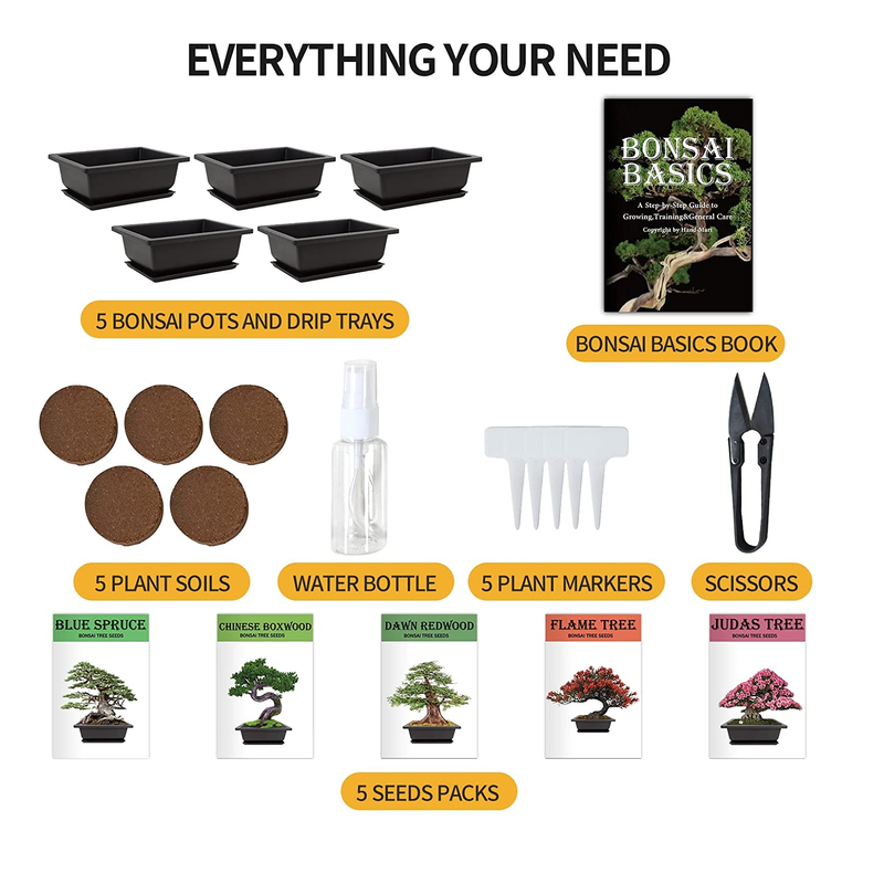 judas tree bonsai care Bonsai Tree Kit