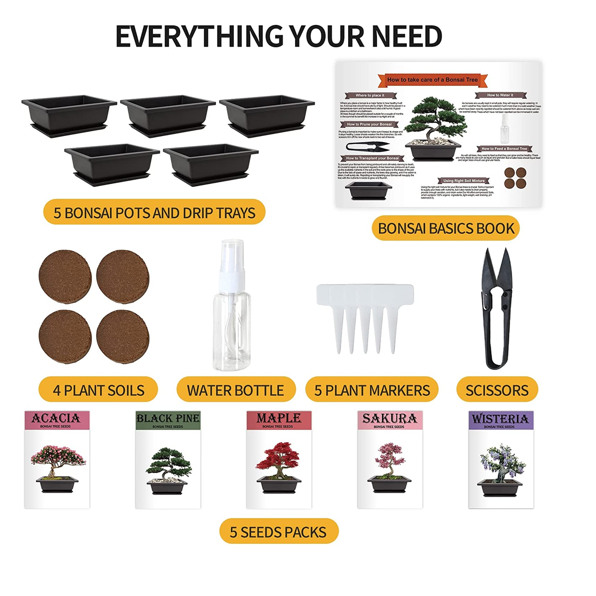 tree seeds for bonsai Bonsai Tree Kit
