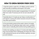 Bonsai Tree Kit | 5 Bonsai Tree Seeds with Complete Plant Growing Tools