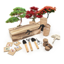 Bonsai Tree Kit | Bonsai Tree Starter Kit with 5 Seeds Types