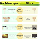 Bonsai Tree Kit | Bonsai Tree Starter Kit with 5 Seeds Types