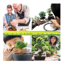 Bonsai Tree Kit | Bonsai Tree Starter Kit with 5 Seeds Types