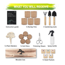 Bonsai Tree Kit | Bonsai Tree Starter Kit with 5 Seeds Types