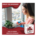 Bonsai Tree Kit | Grow 5 Species of Bonsai Tree w/ Our All-in-One Plant Kit