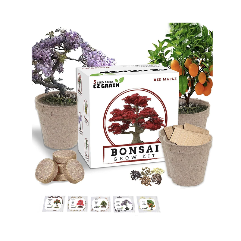 Bonsai Tree Kit | Grow 5 Species of Bonsai Tree w/ Our All-in-One Plant Kit