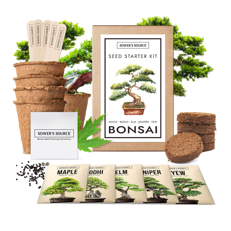 BONSAI TREE KIT. Grow 6 OF Your OWN Bonsai Trees from Seeds WITH BONSAI  TOOL KIT