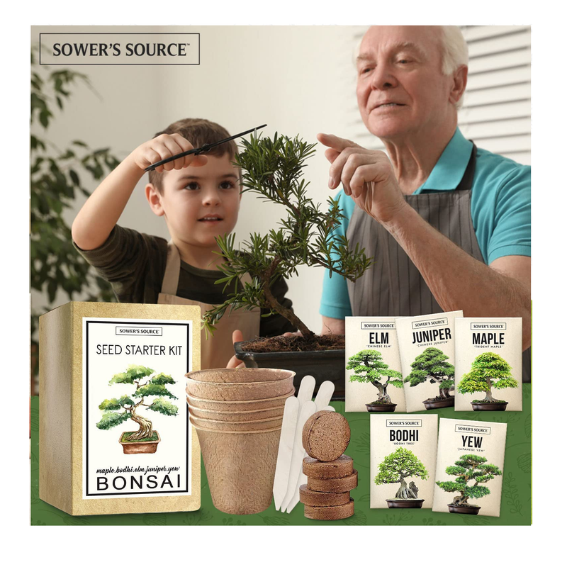 bonsai tree starter kit indoor Bonsai Tree Kit | Indoor and Outdoor Starter Seed Kit