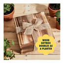 Bonsai Tree Seed Starter Kit | Mini Bonsai Plant Growing Kit | 4 Types of Seeds