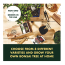 Bonsai Tree Seeds Kit | 8 Popular Varieties of Non GMO Mini Bonsai Trees