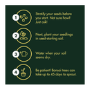 Bonsai Tree Seeds Kit | 8 Popular Varieties of Non GMO Mini Bonsai Trees