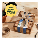 Bonsai Tree Seeds Kit | 8 Popular Varieties of Non GMO Mini Bonsai Trees