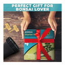Bonsai Tree Starter Kit for Beginners with Potting Soil Discs