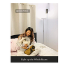 Brightech Sky LED Floor Lamp Super Bright Torchiere Floor Lamp