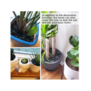 CJGQ Black Pebbles for Plants Bulk Bag Aquarium Gravel | Polished Decorative Stone