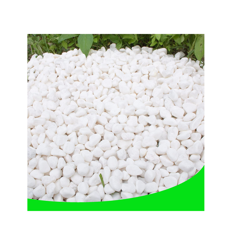 CJGQ White Pebbles for Plants Garden Vases | White Rocks Gravel