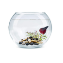 Cerpourt Polished Pebbles for Garden Plants | Natural Stone Decor