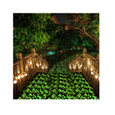 Chic Style Glow in The Dark Garden Stones for Walkways and Decoration