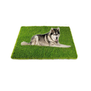CooZero Artificial Grass| Professional Grass Mat for Dogs | Potty Training Mat | Large for Outdoors | Patio Decoration | Easy to Clean With Drainage Holes (32 x 48 inches)