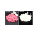 Ebliiny Stones That Glow in The Dark | Outdoor Decoration