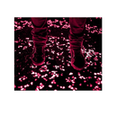 Ebliiny Stones That Glow in The Dark | Outdoor Decoration