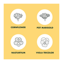 Edible Flowers Indoor Garden Seed Starter Kit | Non-GMO Heirloom Seeds for Planting