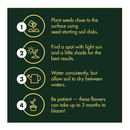 Edible Flowers Indoor Garden Seed Starter Kit | Non-GMO Heirloom Seeds for Planting