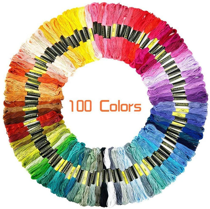 EmbroideryKit100Colors1.jpg