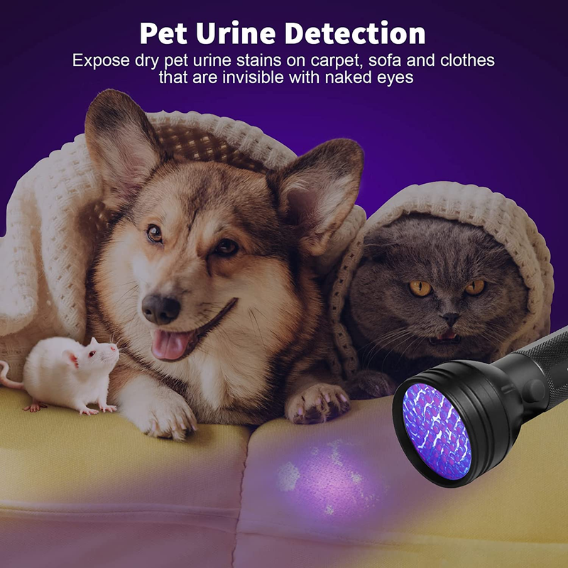escolite uv flashlight black light Escolite UV Flashlight Black Light