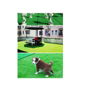 Fasmov Green Artificial Grass Rug | Realistic Artificial Grass| Luxury| Thick for Pets | Perfect for Indoor/Outdoor | 3.2 x 6.5 ft