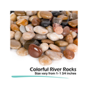 GASPRO Decorative River Rock Pebbles for Plants | Garden Landscaping and Vase