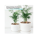 GASPRO Decorative River Rock Pebbles for Plants | Garden Landscaping and Vase