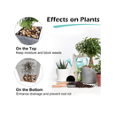 GASPRO Decorative River Rock Pebbles for Plants | Garden Landscaping and Vase