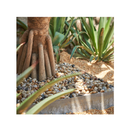 GASPRO Decorative River Rock Pebbles for Plants | Garden Landscaping and Vase