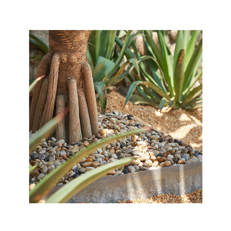 GASPRO Decorative River Rock Pebbles for Plants | Garden Landscaping and Vase