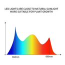 GHodec Grow Light | Sunlight White 50W 84 LED Dual Head Clip Plant Lights for Indoor Plants | 4/8/12H Timer & 5 Dimmable Levels