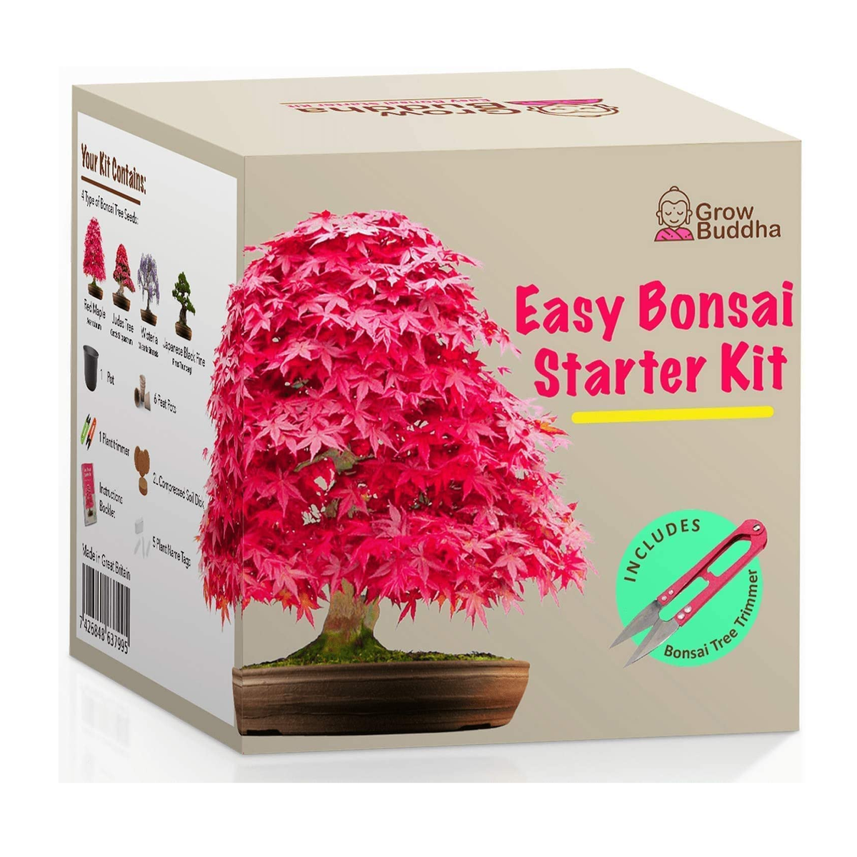 Grow Your Own Bonsai kit | Tree Plants & Seeds