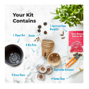 Grow Your Own Bonsai kit | Tree Plants & Seeds | Easily Grow 4 Types of Bonsai Trees