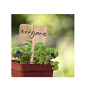 HOMENOTE 60 Bamboo Plant Labels |6 x 10 cm| With an Extra Pen| Vegetable Garden Markers | T-SHAPED