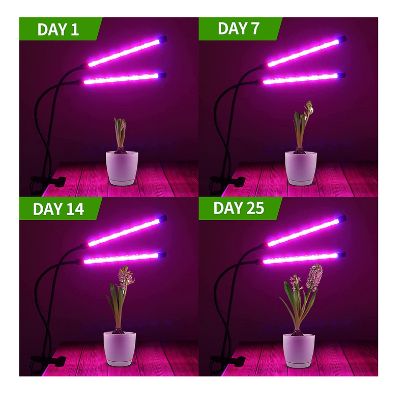 Hawanik LED Grow Lights for Indoor Plants | 2 Pack